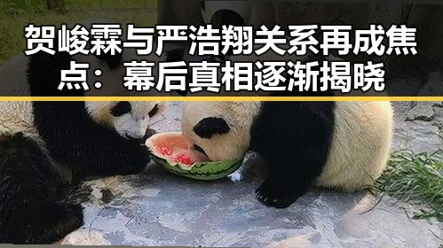 贺峻霖与严浩翔关系再成焦点：幕后真相逐渐揭晓
