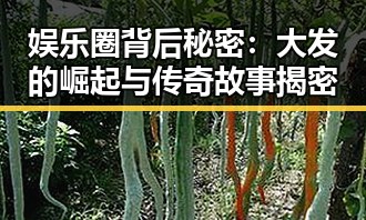 娱乐圈背后秘密：大发的崛起与传奇故事揭密